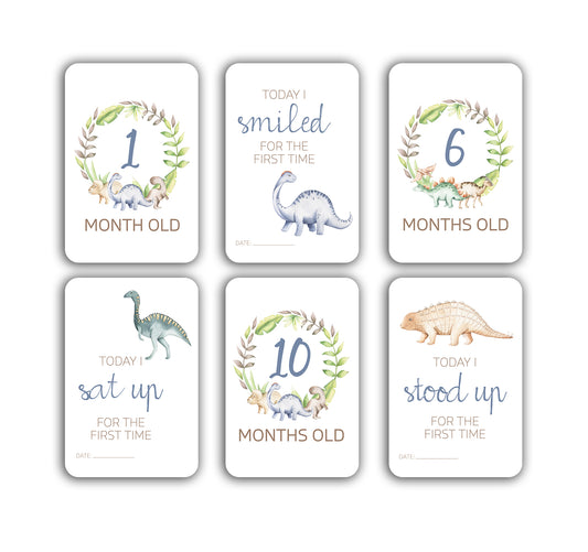 Dinosaur Baby Milestone Cards