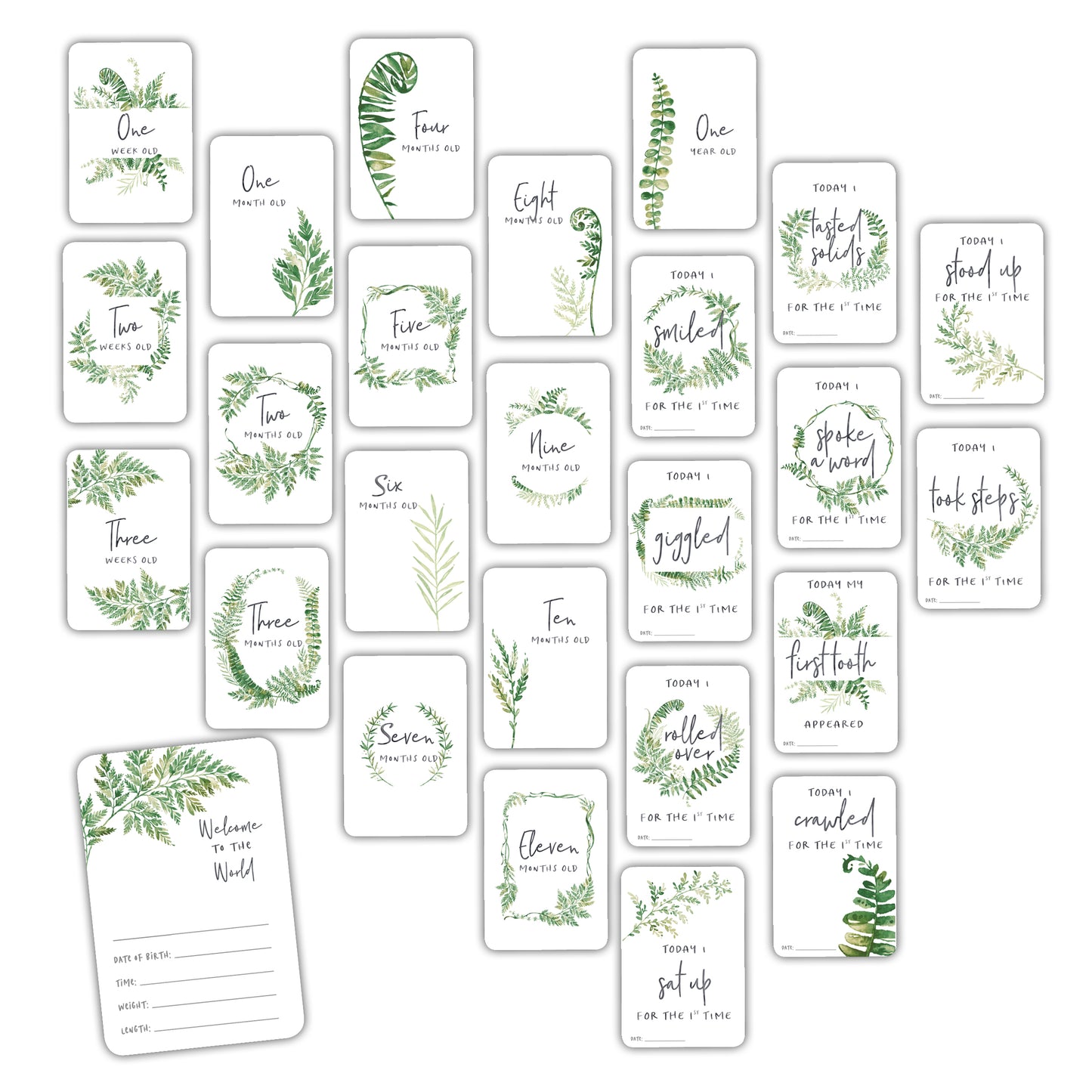 Fern Watercolour Baby Milestone Cards