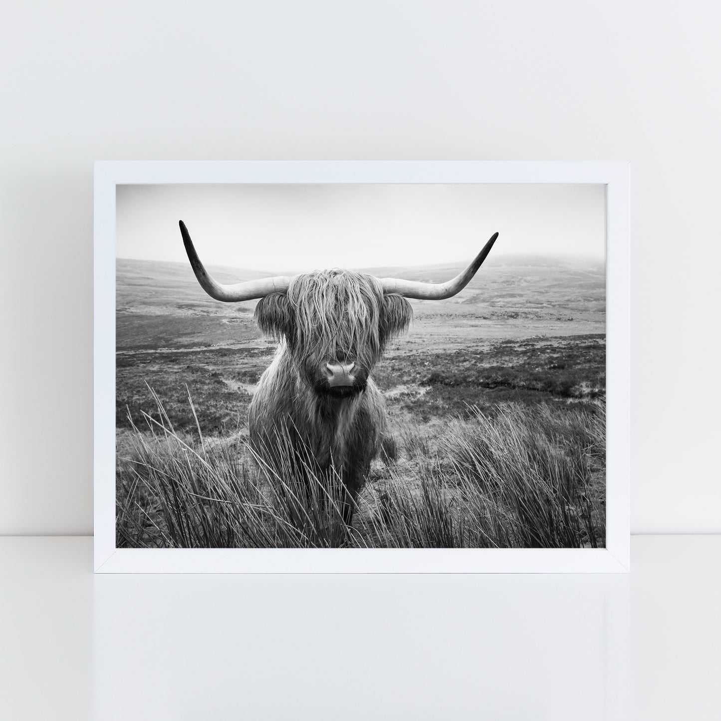 Highland Cow - Black and White Wall Art Print