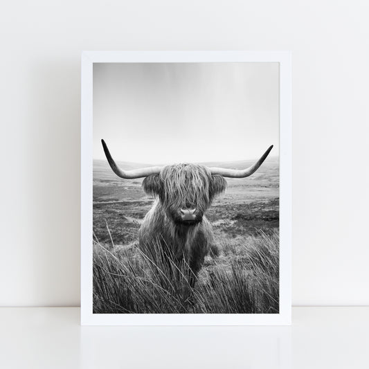 Highland Cow - Black and White Wall Art Print