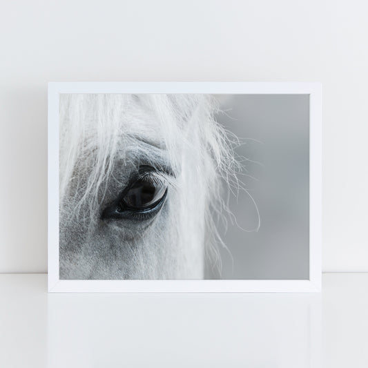 Scandi Horse Close Up - Black and White Wall Art Print