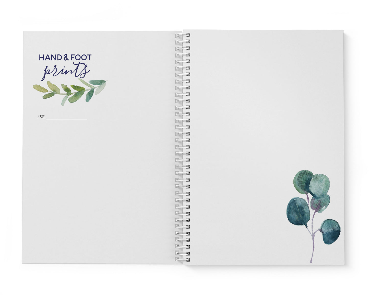 Eucalyptus Leaf Baby Record Book