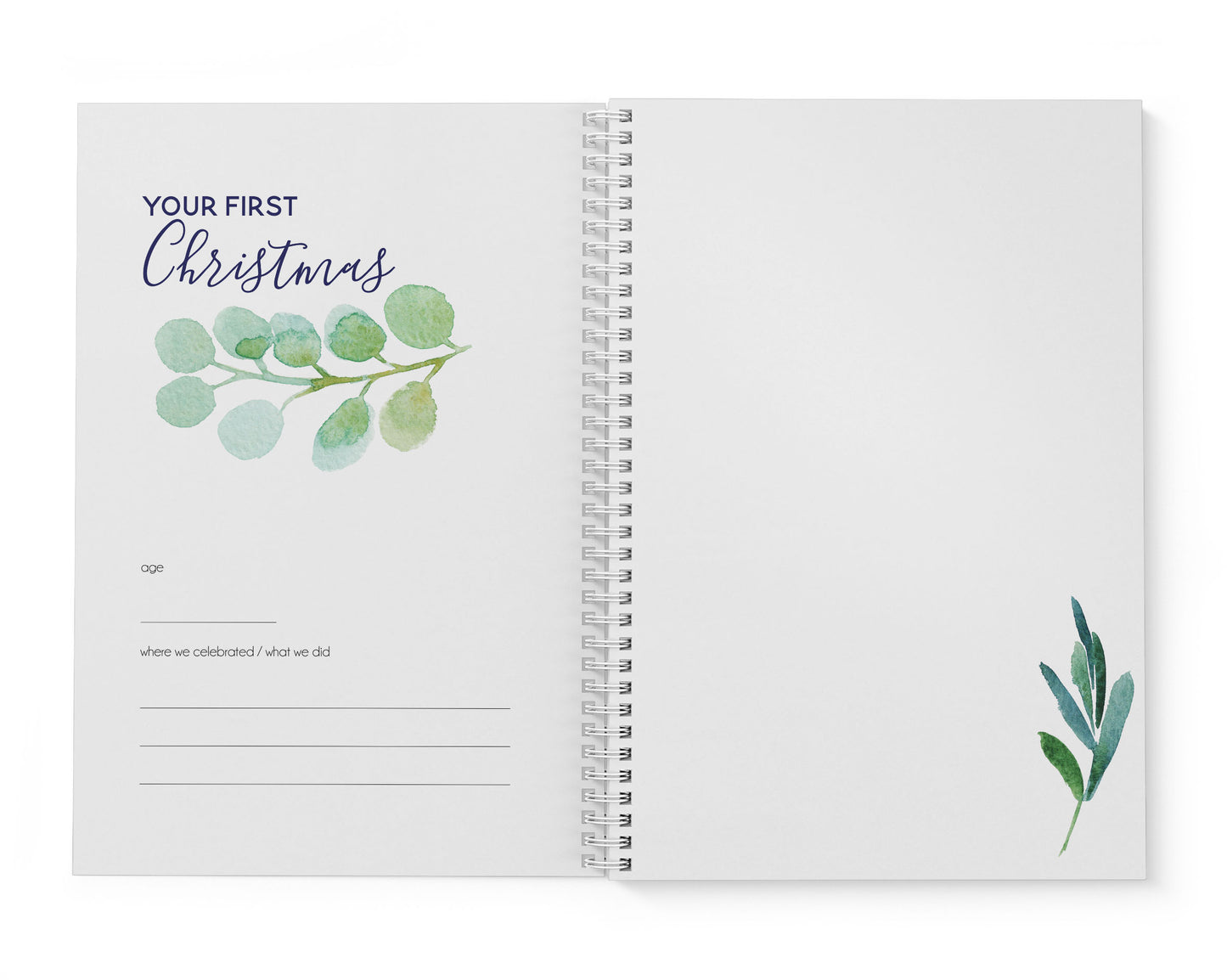 Eucalyptus Leaf Baby Record Book