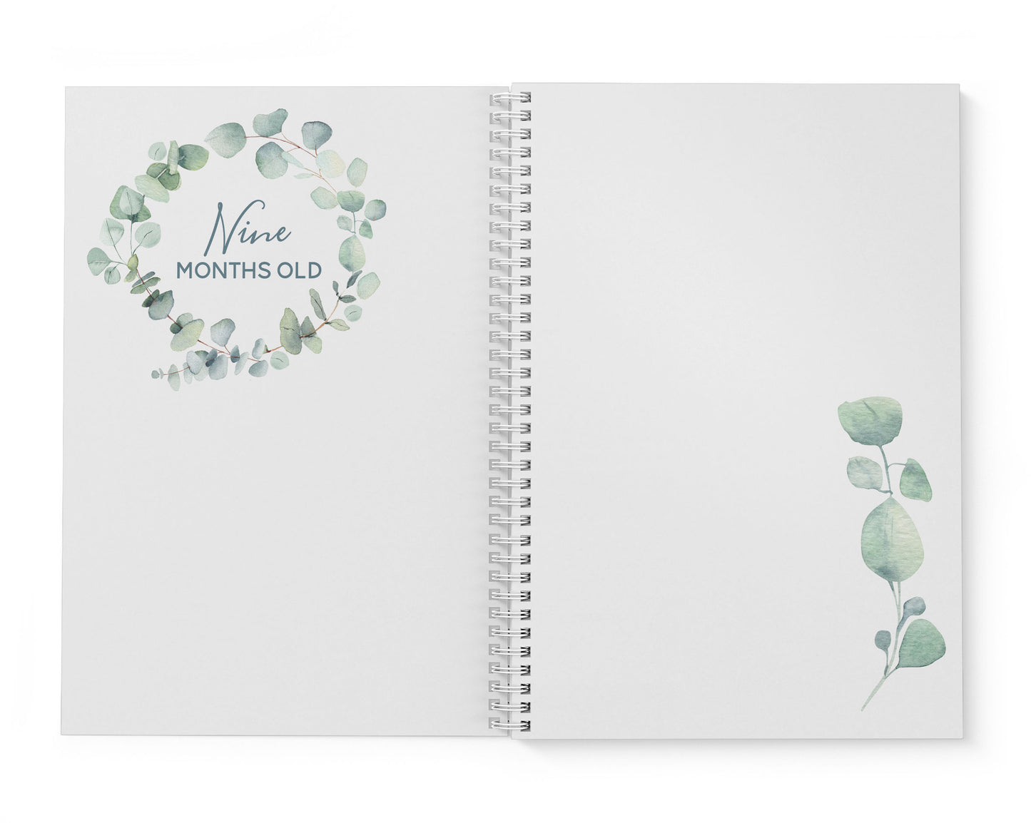 Pastel Eucalyptus Baby Record Book