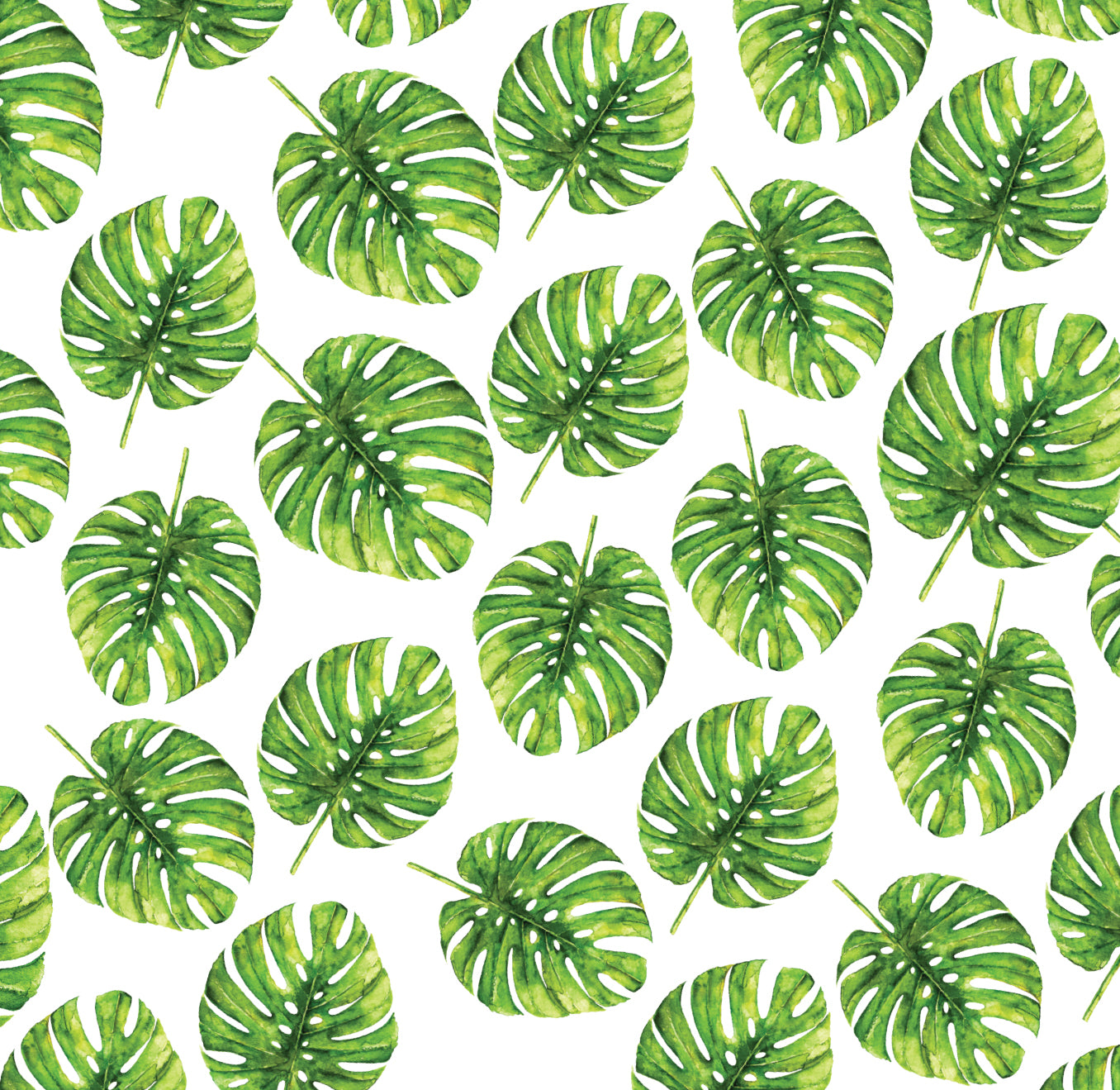 Monstera Leaf Gift Wrap