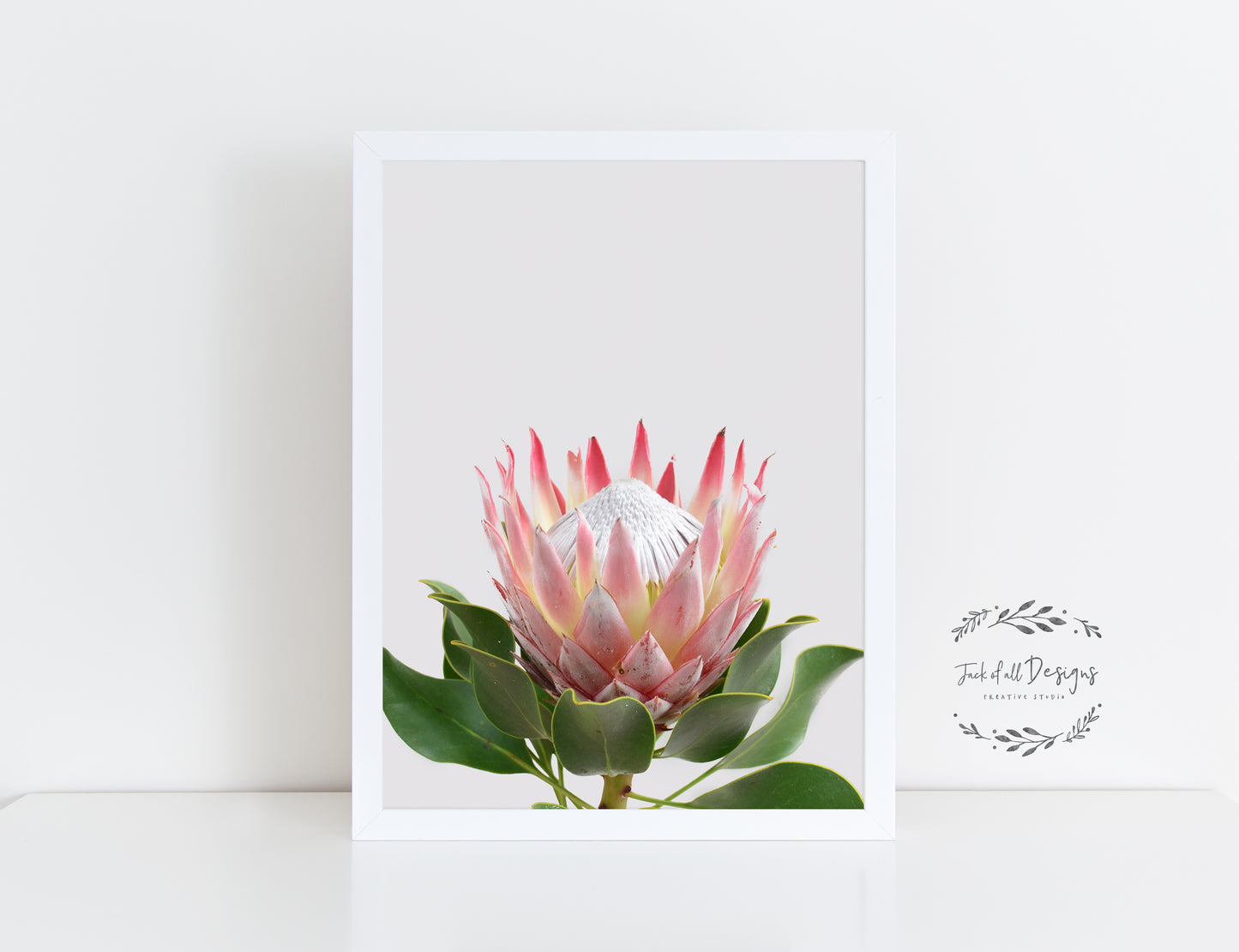 King Protea - Wall Art Print