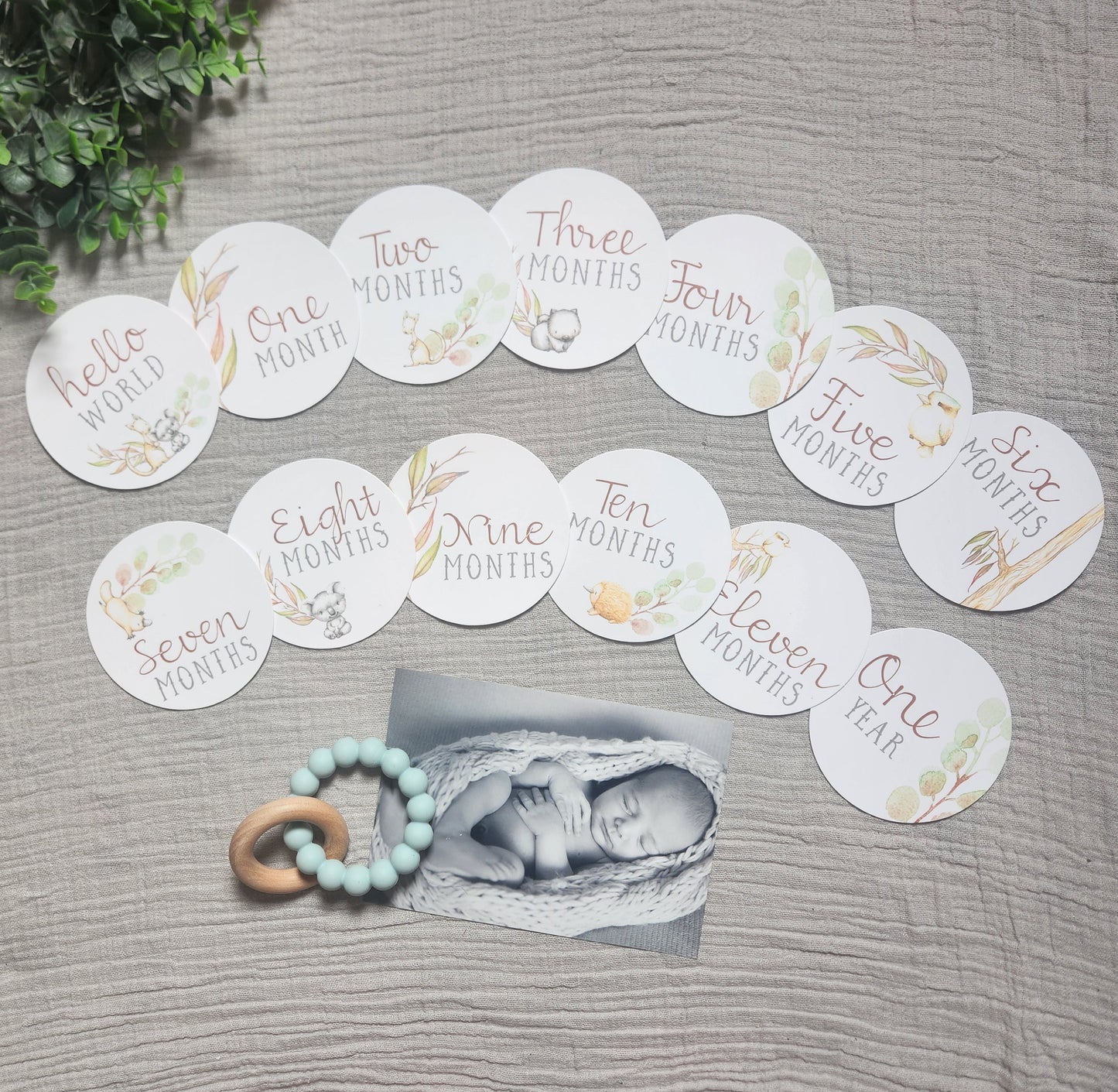 Australian Animals Round Milestone Cards
