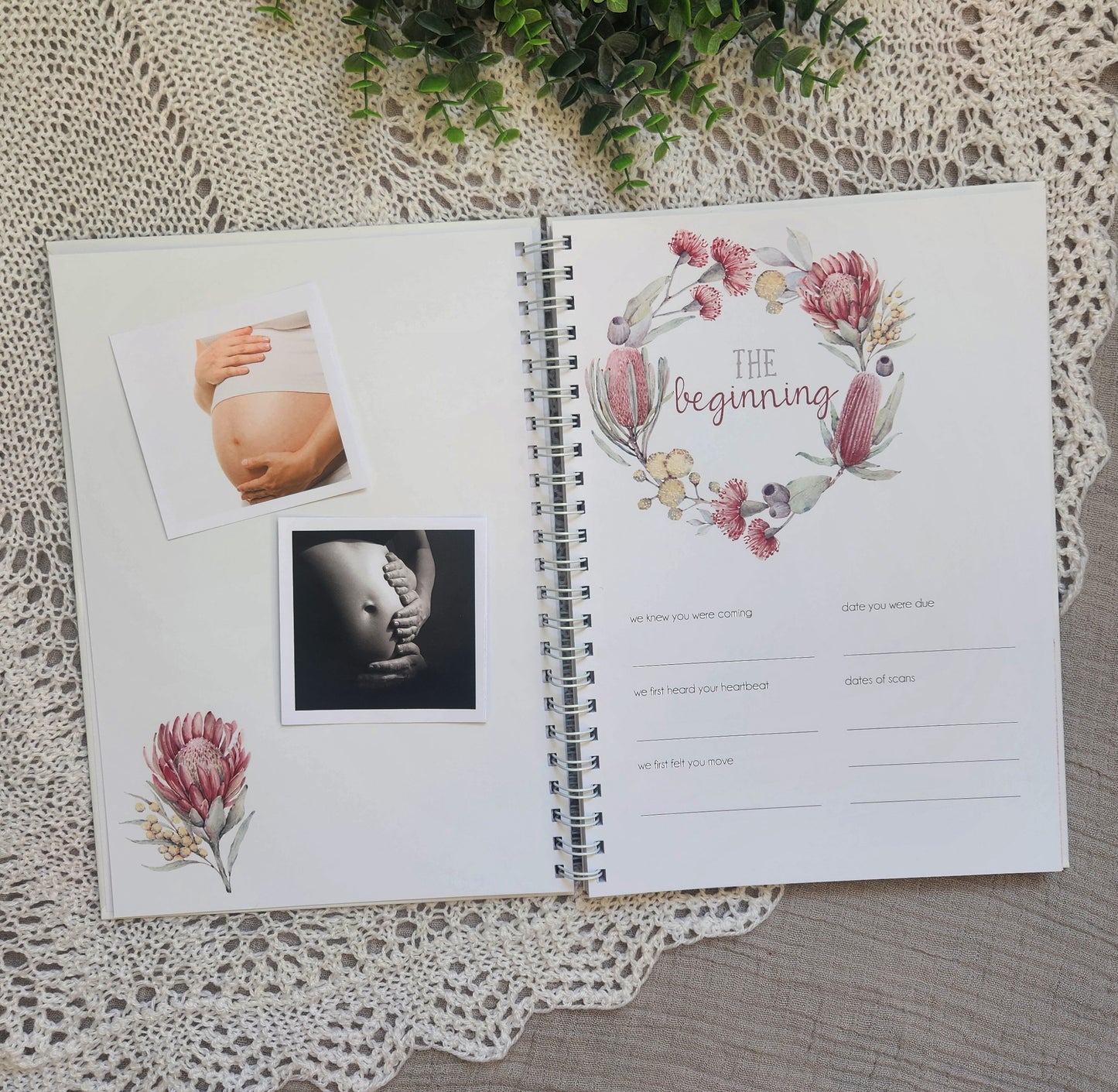 Australian Flora Baby Record Book