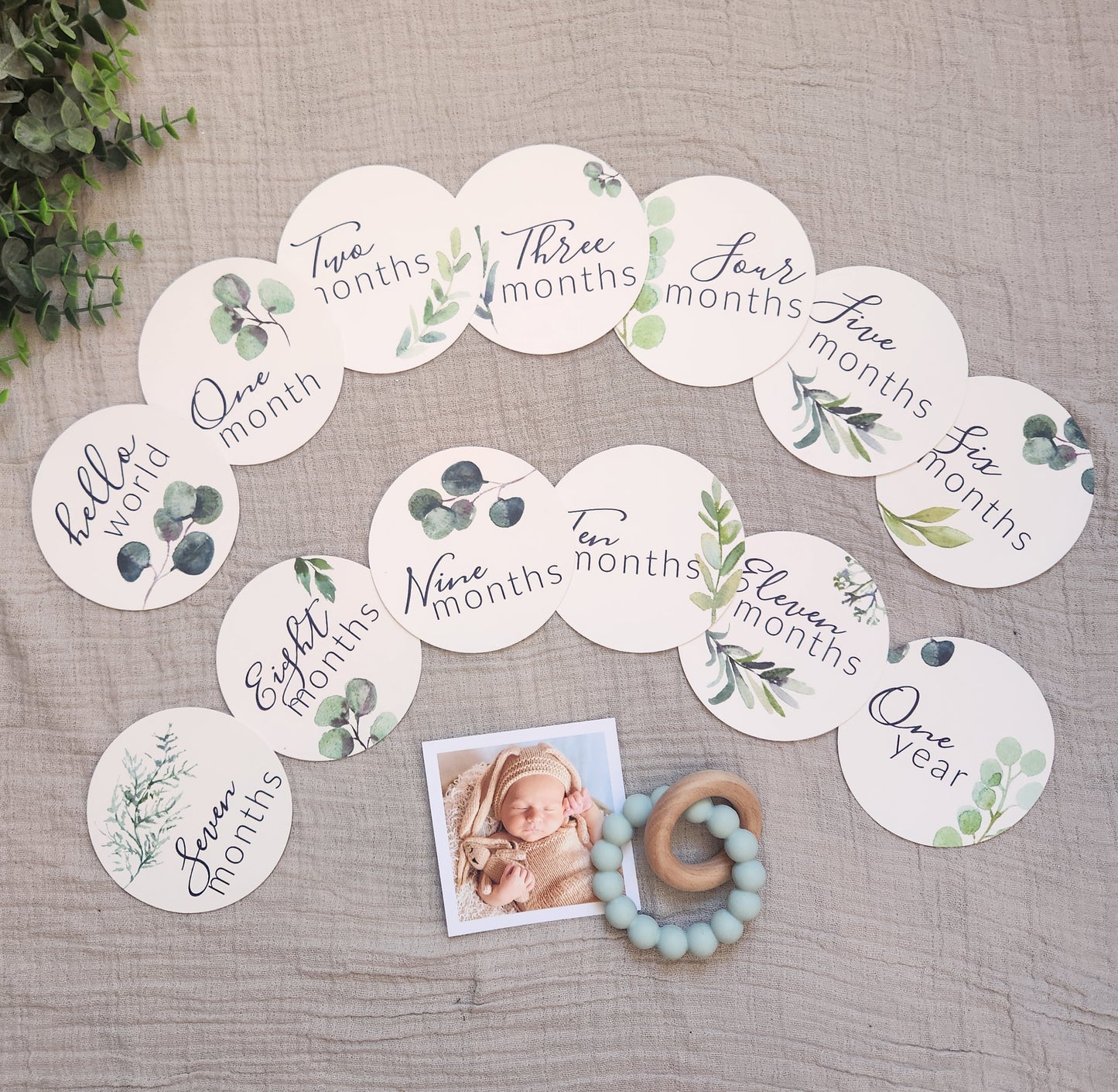 Eucalyptus Round Milestone Cards