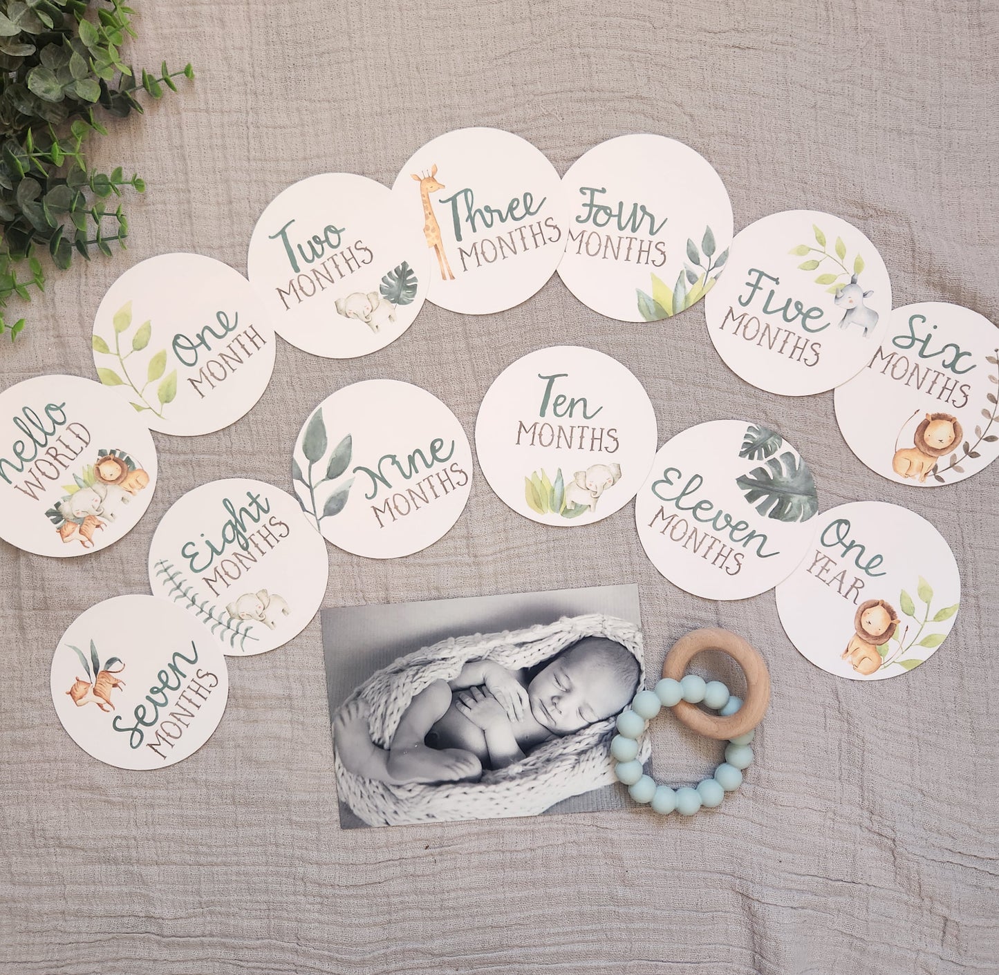 Jungle Safari Round Milestone Cards