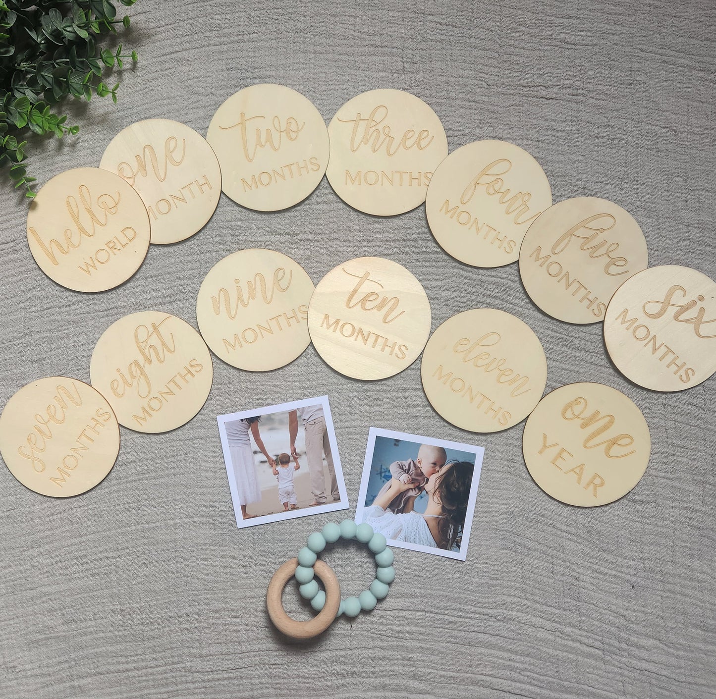 Timber Baby Milestone Discs