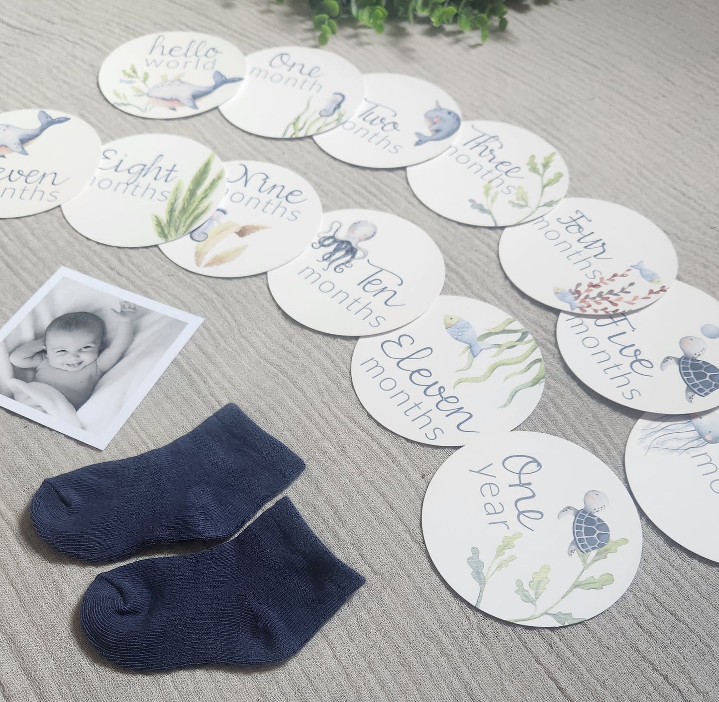 Under the Sea Round Milestone Cards