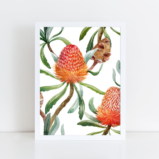 Banksia - Wall Art Print