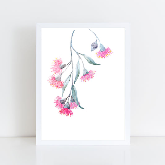 Flowering Eucalyptus Style 1 - Wall Art Print