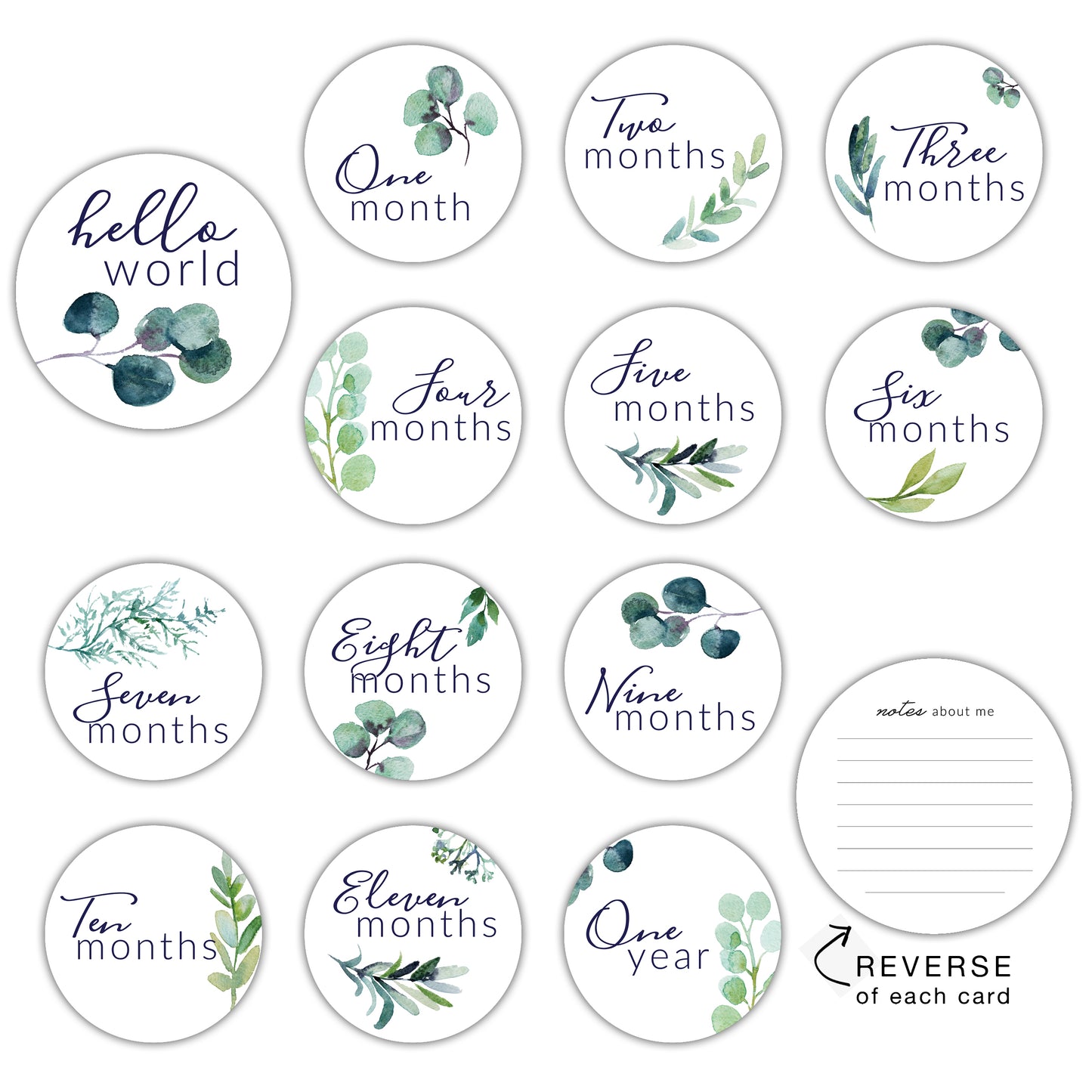 Eucalyptus Round Milestone Cards