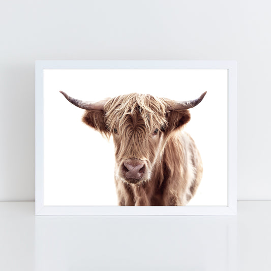 Highland Cow - Brown - Wall Art Print