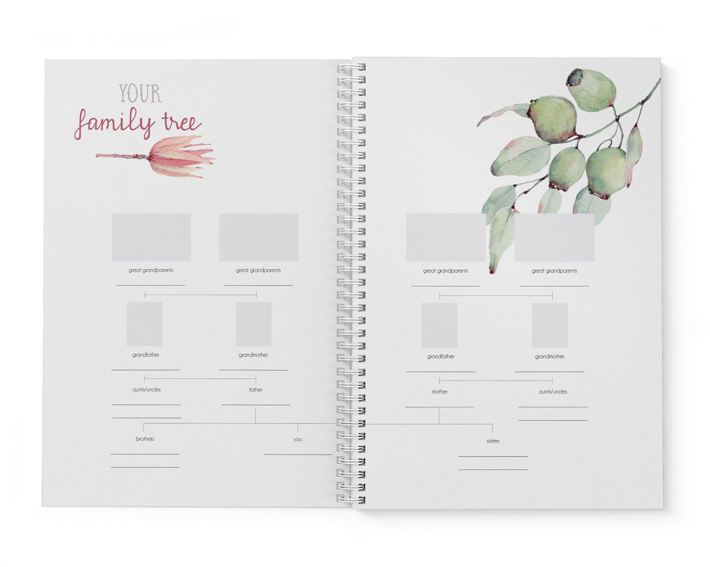 Australian Flora Baby Record Book