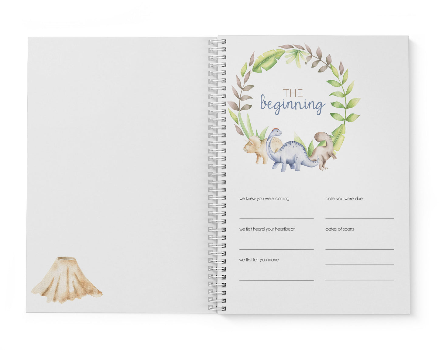 Dinosaur Baby Record Book