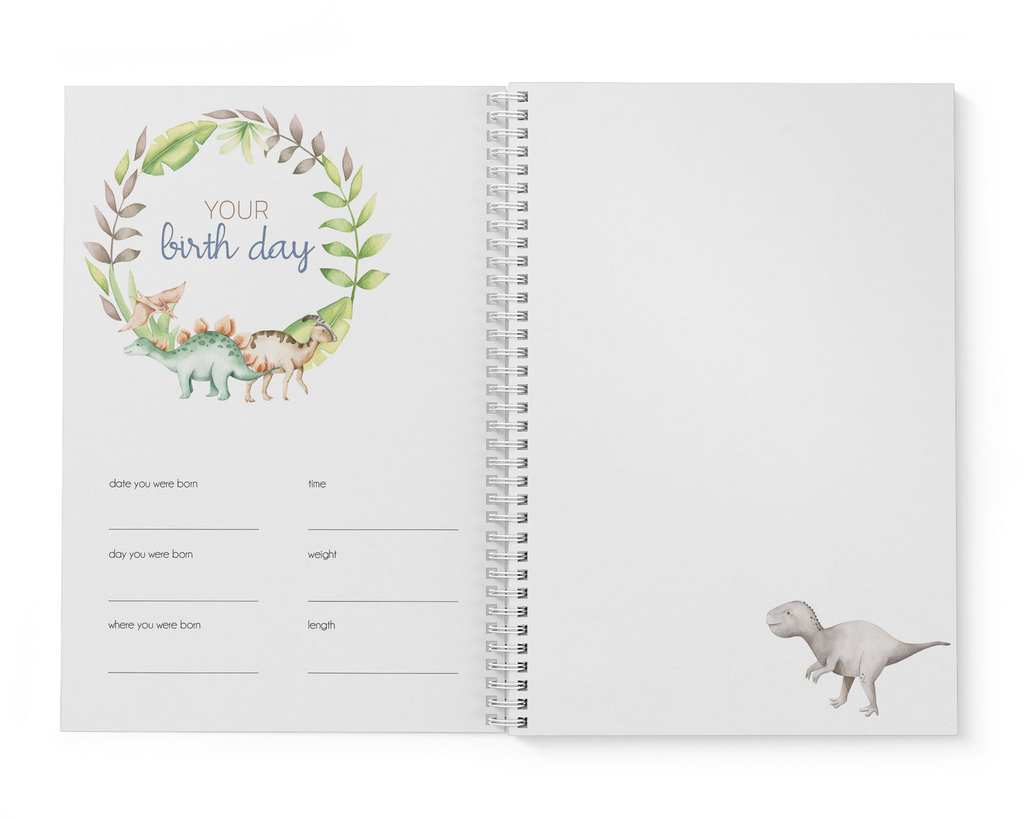Dinosaur Baby Record Book