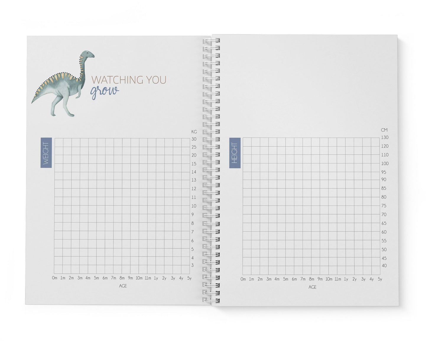 Dinosaur Baby Record Book