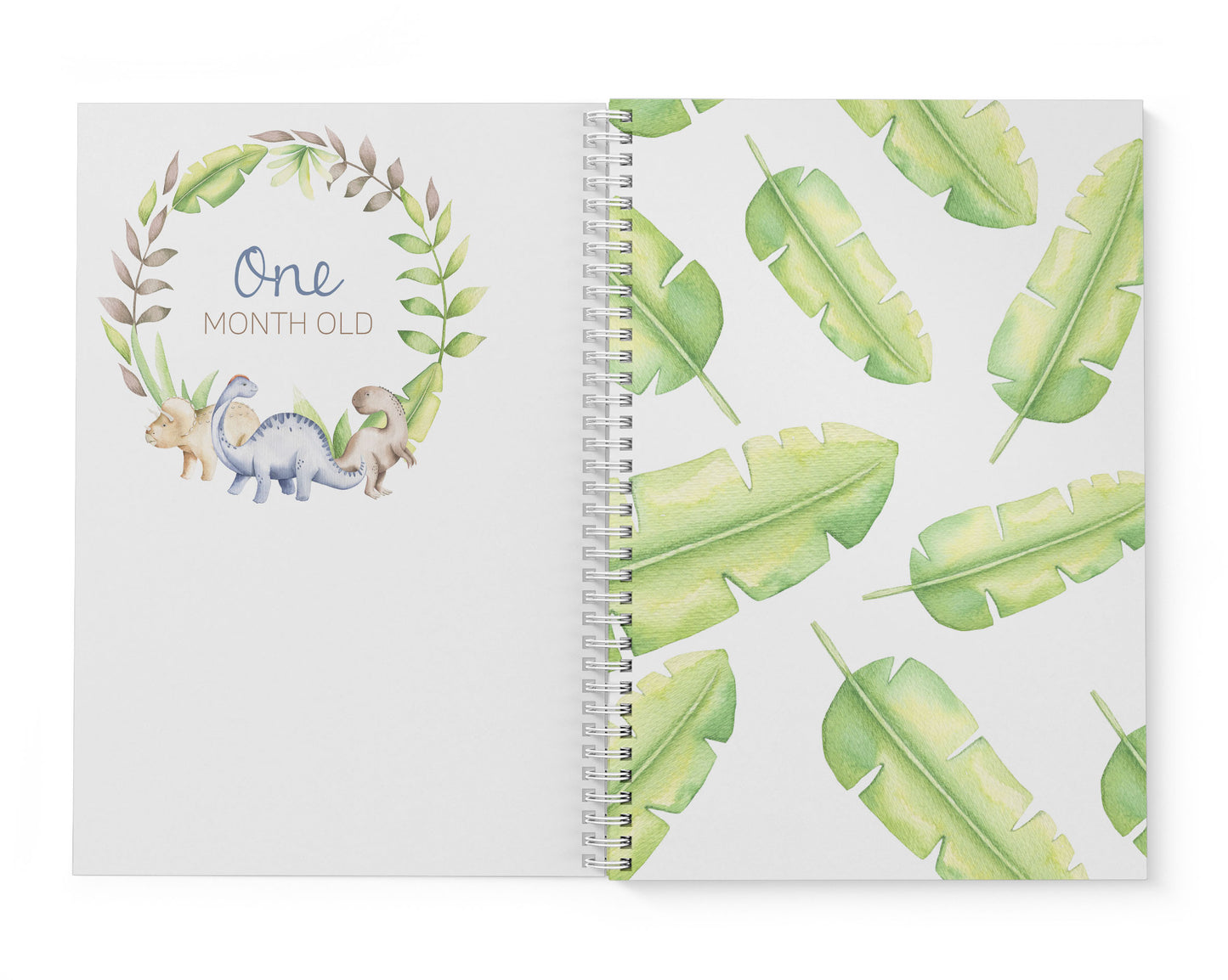 Dinosaur Baby Record Book
