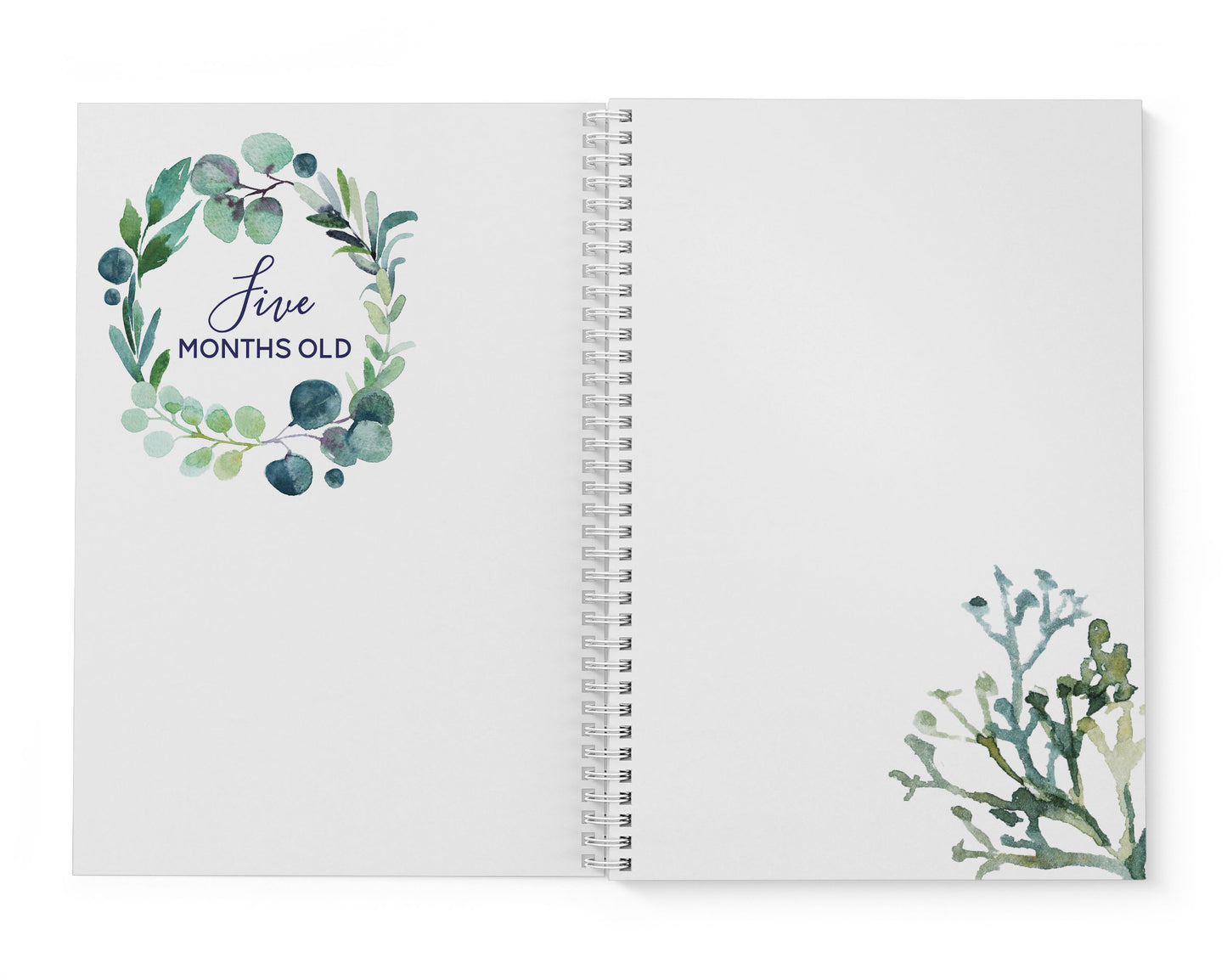 Eucalyptus Leaf Baby Record Book