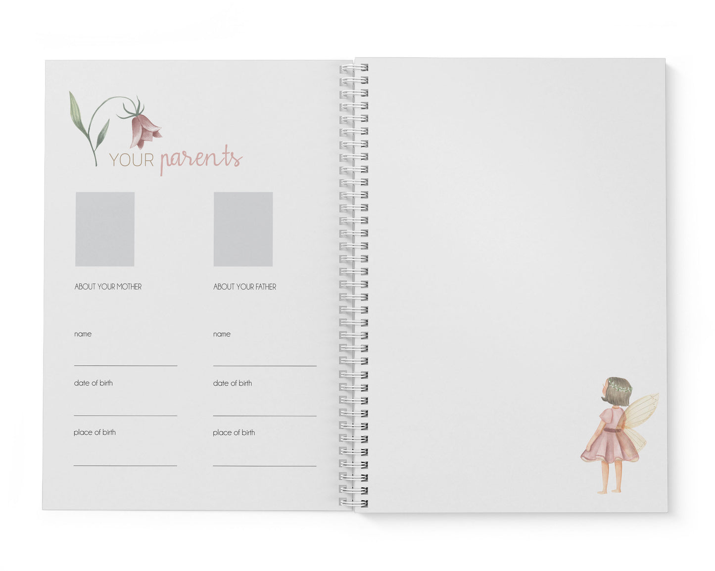 Fairy Garden Baby Record Book