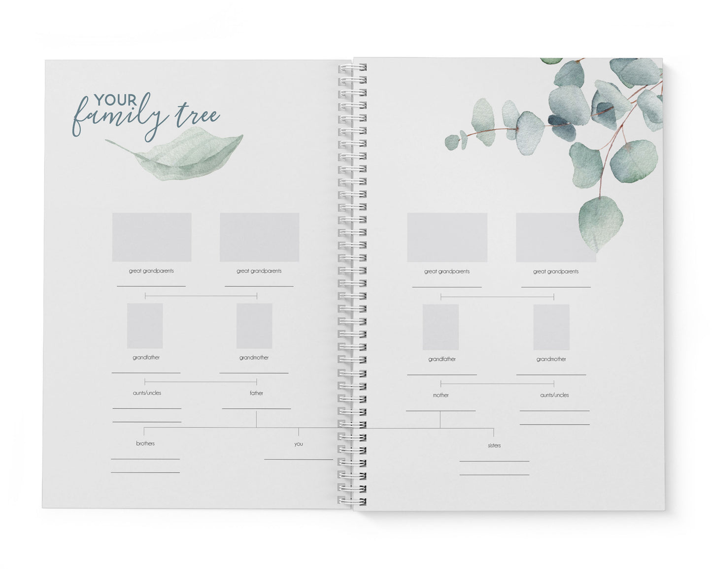 Pastel Eucalyptus Baby Record Book