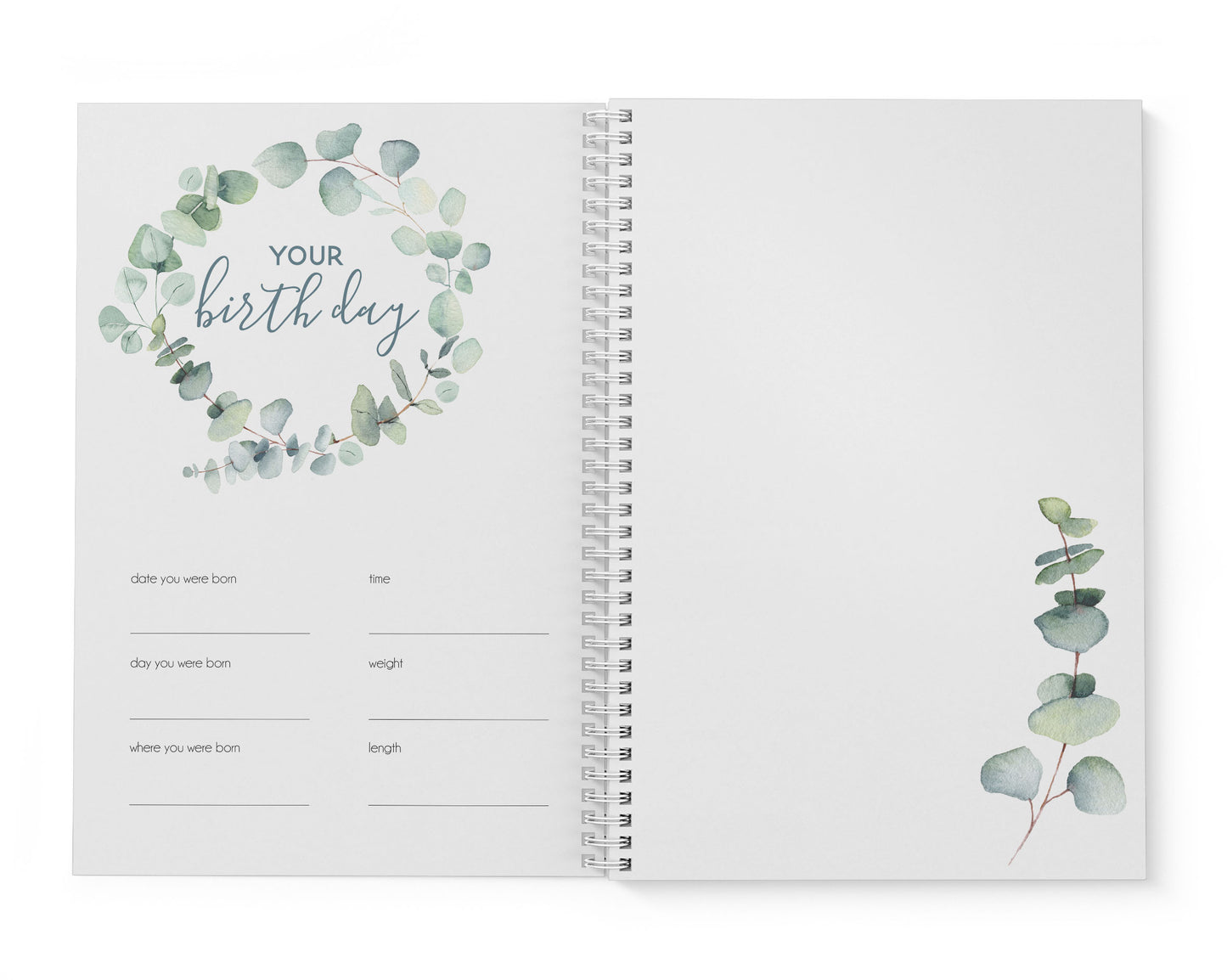 Pastel Eucalyptus Baby Record Book