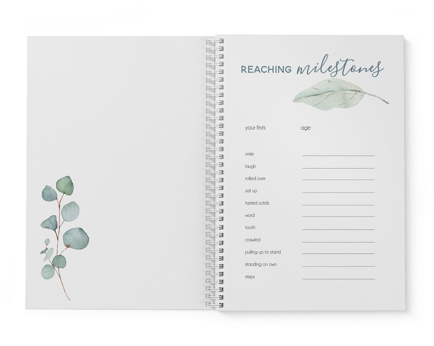 Pastel Eucalyptus Baby Record Book