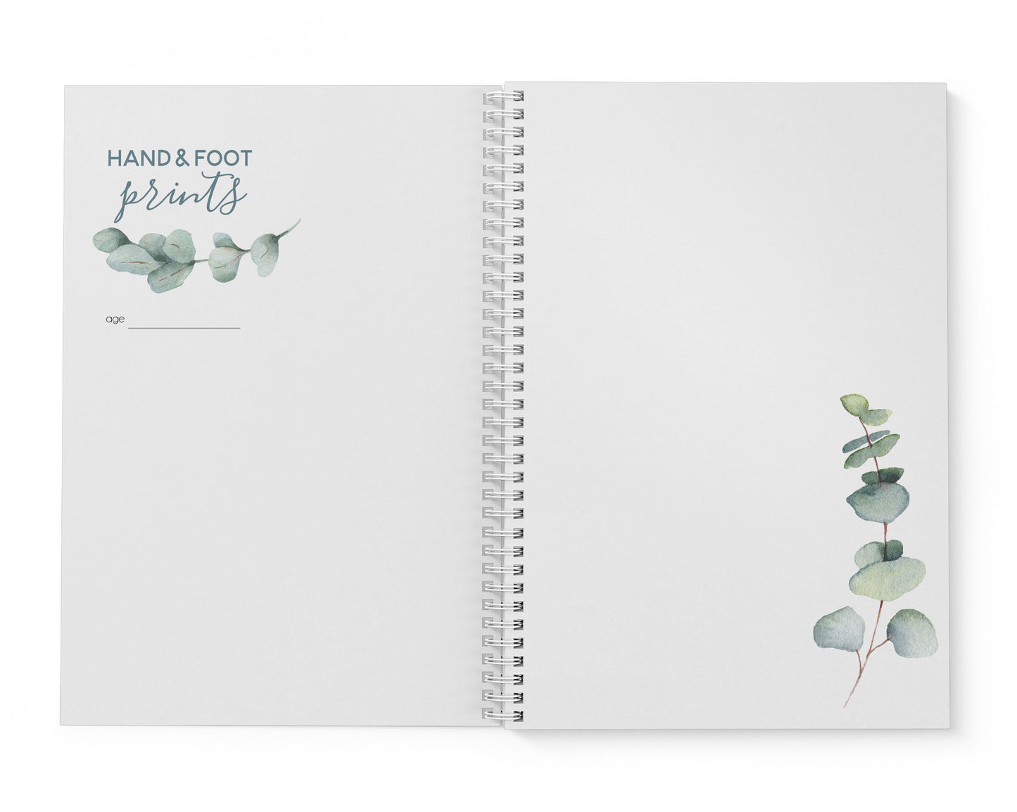 Pastel Eucalyptus Baby Record Book