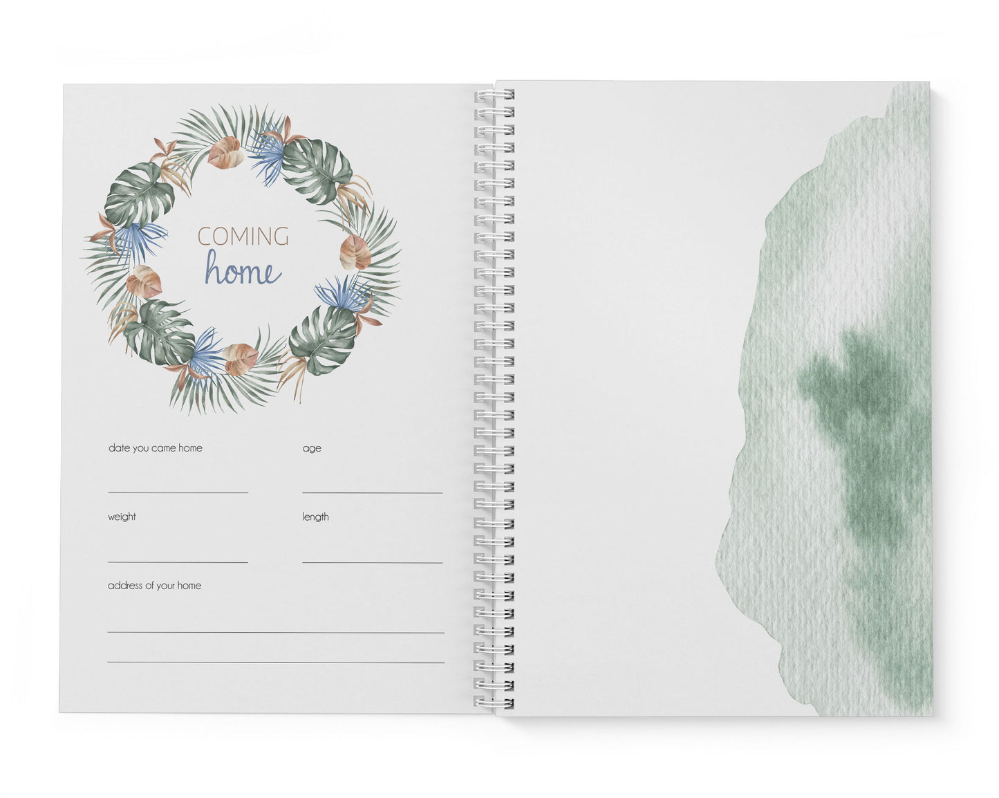 Tropical Coastal Palm Baby Record Book