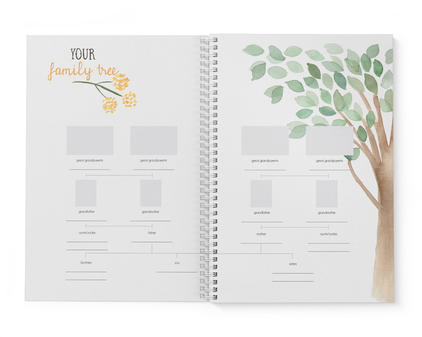 Woodland Baby Record Book