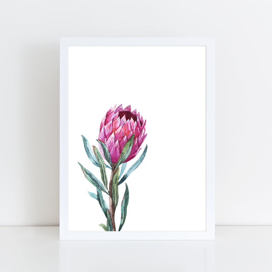 Watercolour Protea Style 1 - Wall Art Print